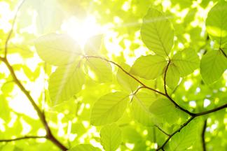 Unabhängigkeit | Wärme & Strom | Sonne